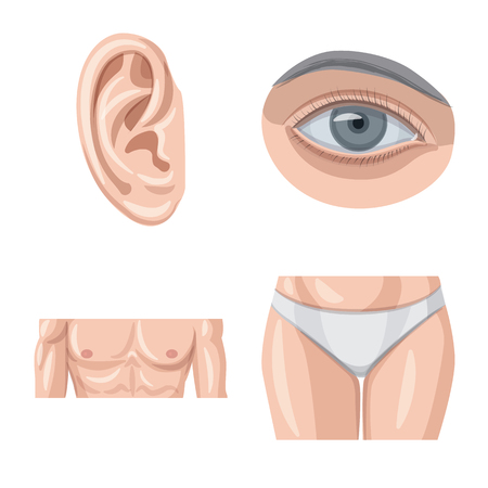 Scientific Evidence: Do These Creams Actually Work?