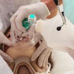 The Role of Sculptra and Radiesse in Non-Surgical Butt Lifts