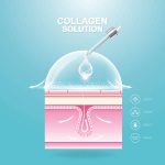 Natural Ways to Stimulate Collagen Production in Your Body