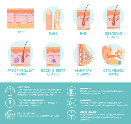 Popular Eyelid Tightening Treatments in America