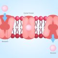 Hyperpigmentation and Hormonal Changes: What You Need to Know