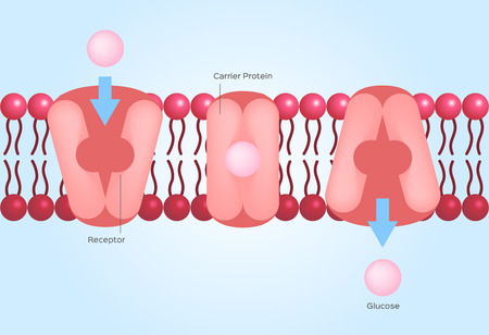 Hyperpigmentation and Hormonal Changes: What You Need to Know