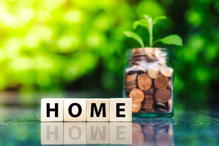 Home Remedies vs. Professional Treatments: Finding the Right Balance to Stay Within Budget