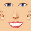Affordable Alternatives to Veneers: Exploring Bonding, Whitening, and More