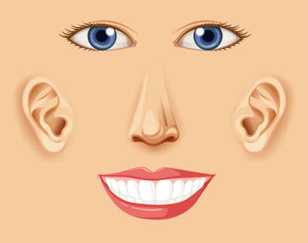 Affordable Alternatives to Veneers: Exploring Bonding, Whitening, and More
